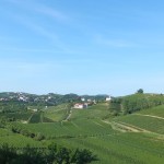 DSCF5607