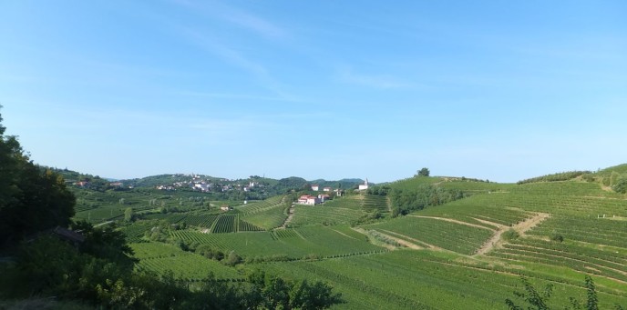 DSCF5607