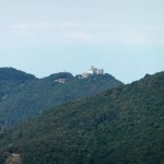 DSCF5620