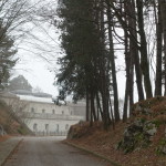 Bernadia2