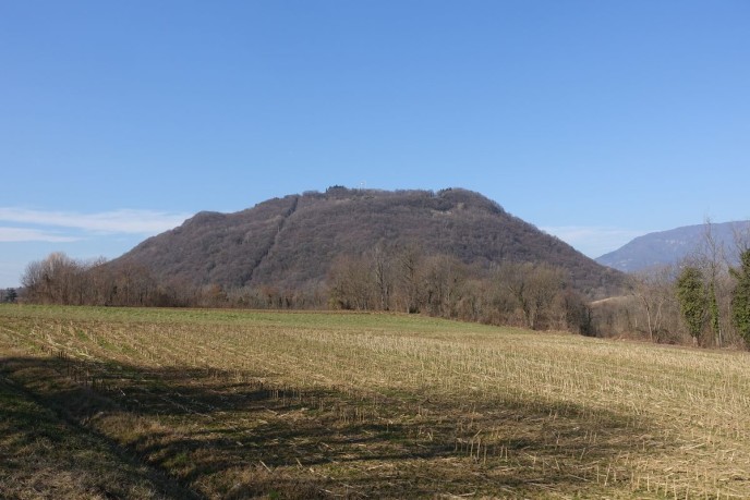DSC04375