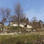 DSC04394