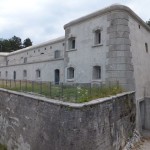 DSCF1226