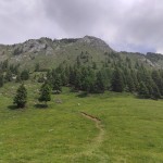 IMG_20210627_113203