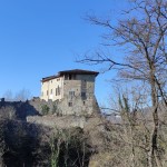 IMG_20250117_130220