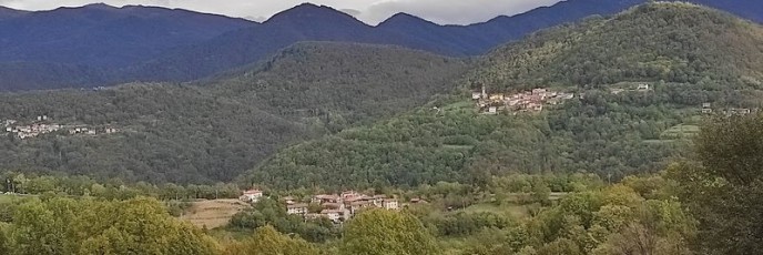 7r